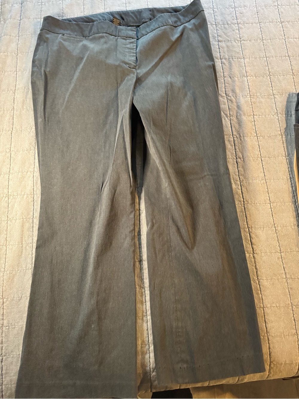 Lane Bryant charcoal High-Rise Pants